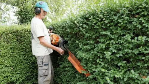 Entretien de jardin à Bâle