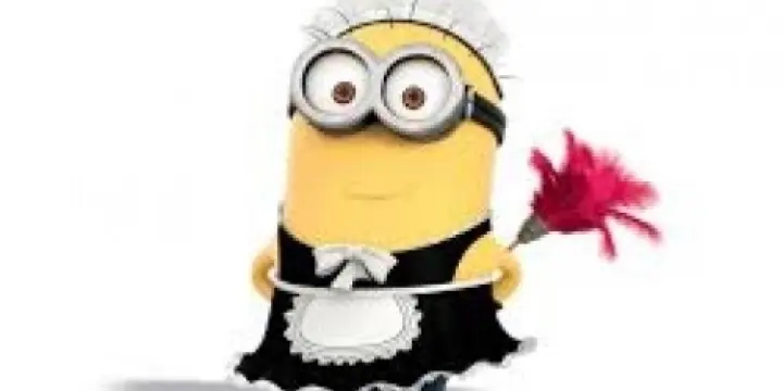 femme de ménage 