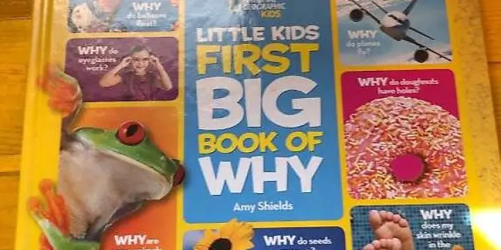 Little kids first book of why - Amy Shields