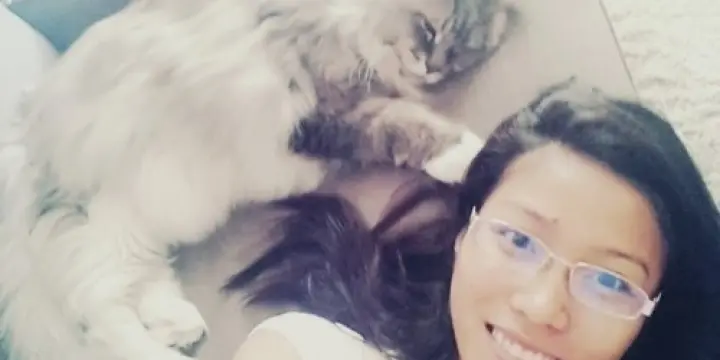 Femme de ménage et repassage