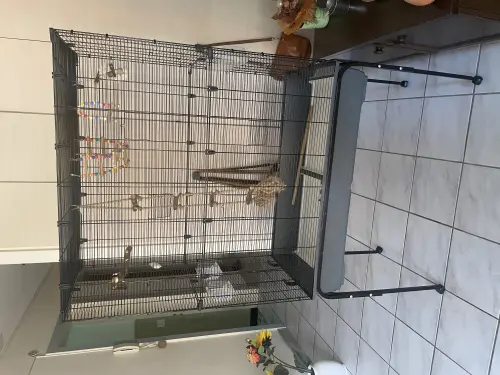 Cage pour perruche ou petit perroquet à Sierre