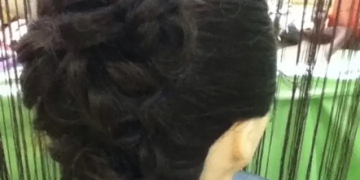 Coiffeuse motivée cherche travail