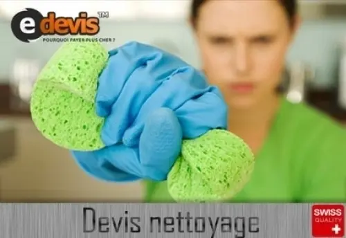 Femme de ménage - nettoyage à Villars le terroir