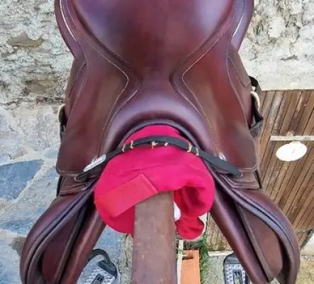 Selle CWD