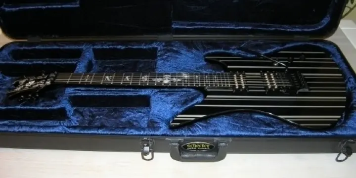 Schecter Synyster Custom avec coffre