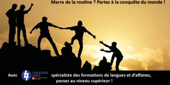Cours de langues et formations de gestion d'entreprise