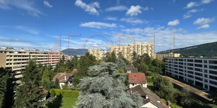 Attique rafraîchi de 4 pièces avec balcon sans vis-à-vis (Chêne-Bourg)