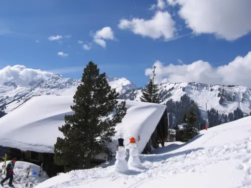 grand et authentique chalet à Morgins
