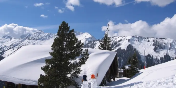 grand et authentique chalet