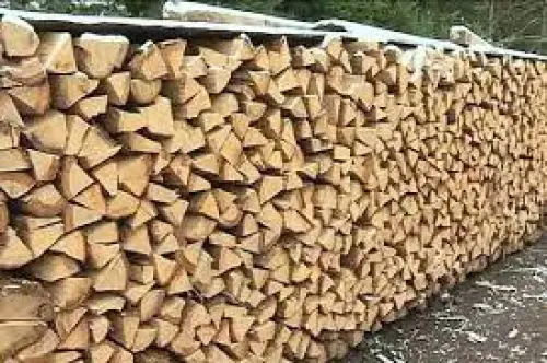Bois de chauffage + livraison à bienne