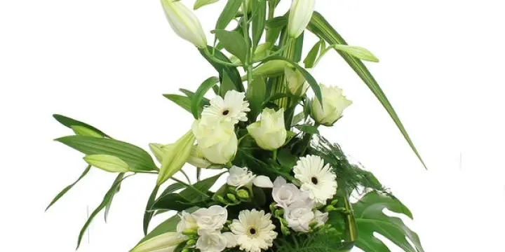 Auxiliaire de vie avec 38 ans d'expérience