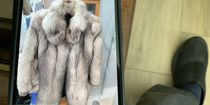 Veste 3/4 renard argenté