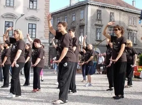 Essai Gratuit de Tai Chi Taoïste à Lausanne