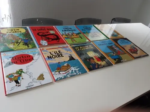 BD les Aventures de Tintin à Lausanne 26