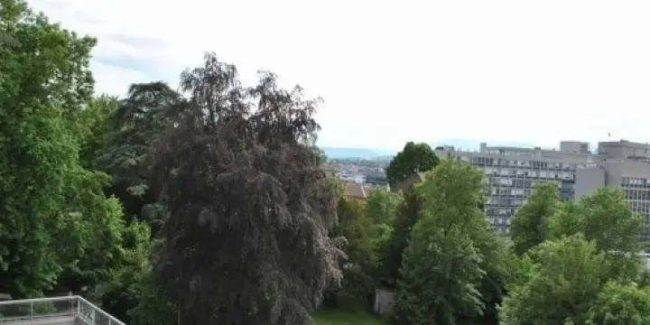 Genève-Champel 6 pièces, 189 m2, 2 place
