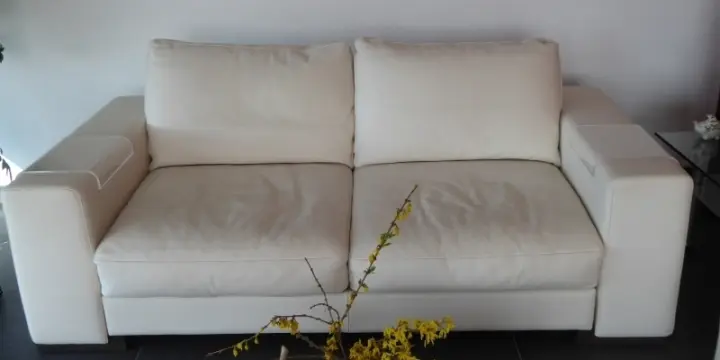 Exceptionnel SALON NATUZZI - cuir Montecarlo crème