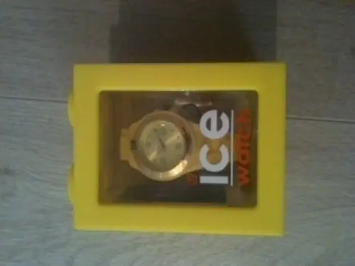 Montre Ice Watch small à la tour-de-trême
