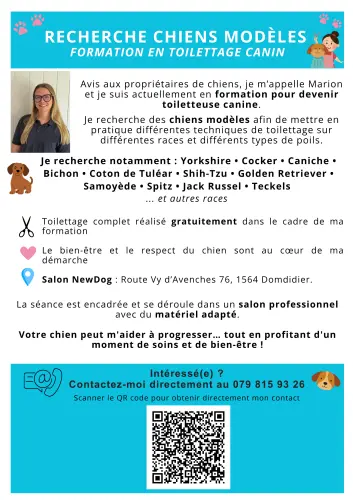 Recherche chiens modèles - toilettage gratuit