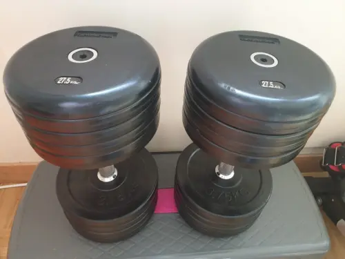 2 Dumbbells 27.5 kg Tactical Steel à Le Grand-Saconnex