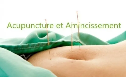 Amincissement par Acupuncture MTC à grand lancy