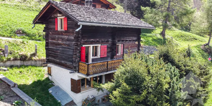 Charmant chalet sur trois niveaux avec vue exceptionnelle