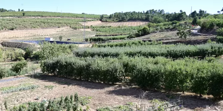 Vente terrain 450 m2 à Armamar (Portugal)