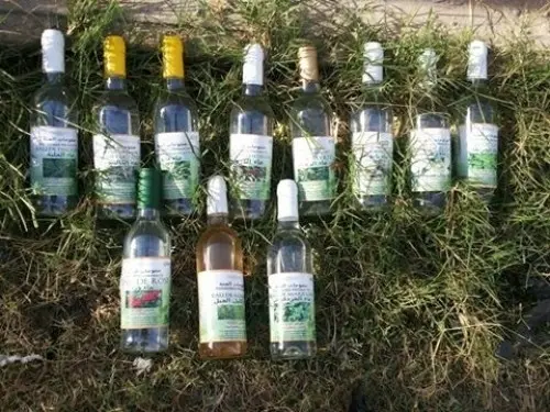 eaux  floraux  à bizerte