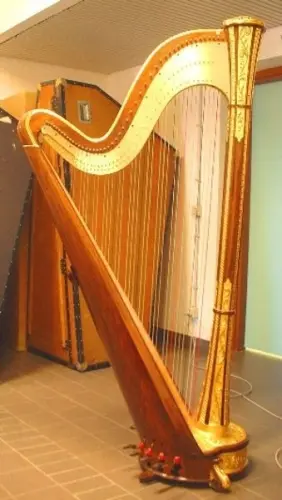 Harpe salvi grand concert à vaud