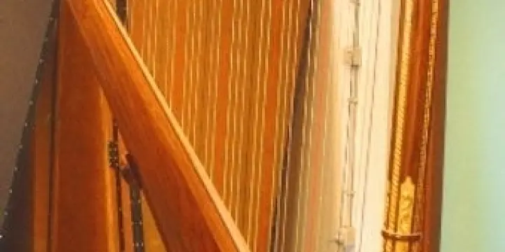 Harpe salvi grand concert