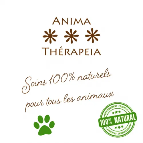 Soins naturels Animaux à L'Auberson