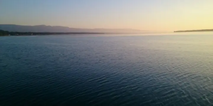 Coucou vivons Noël ensemble 