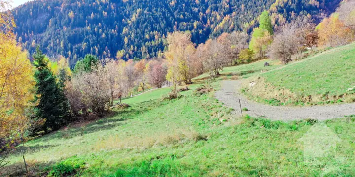 Chalet de 5.5 pièces sur plan, calme, ensoleillé