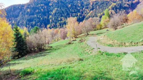 Chalet de 5.5 pièces sur plan, calme, ensoleillé à Ovronnaz