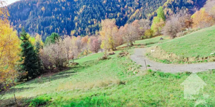 Chalet de 5.5 pièces sur plan, calme, ensoleillé