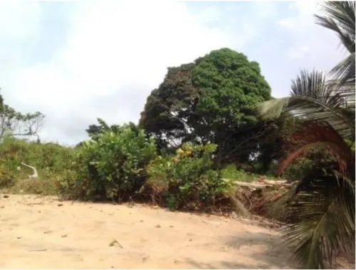 Cameroun, Kribi, les pieds dans l’eau, terrain titré à Sion