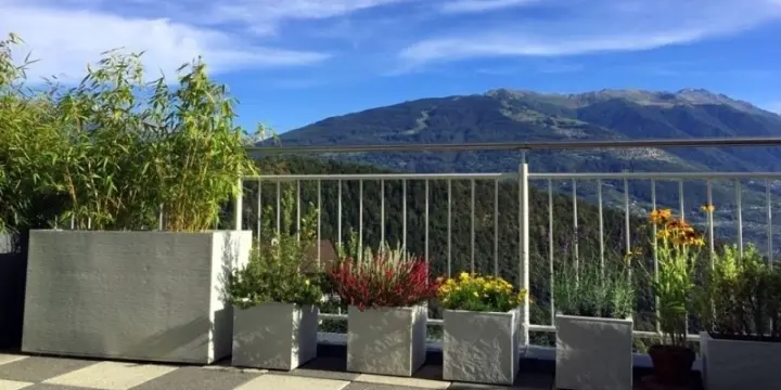 3,5 p terrasse