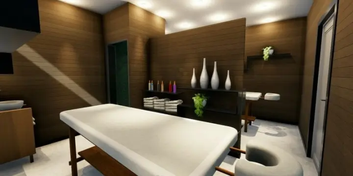 Appareil professionnel visage et corps