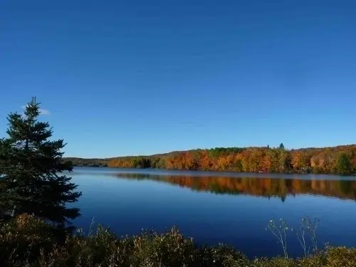 Appartement au bord d'un lac, Québec à Québec