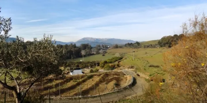 une ferme a vendre!!! opportuniitè