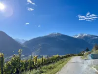 Image 6
