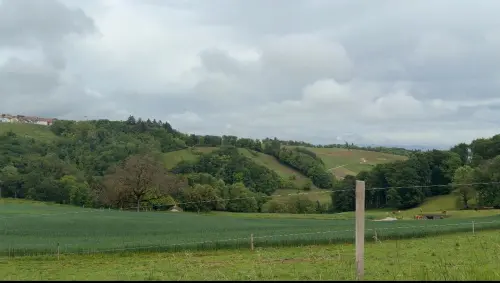 A vendre: Maison individuelle de 3,5pcs à Aubonne