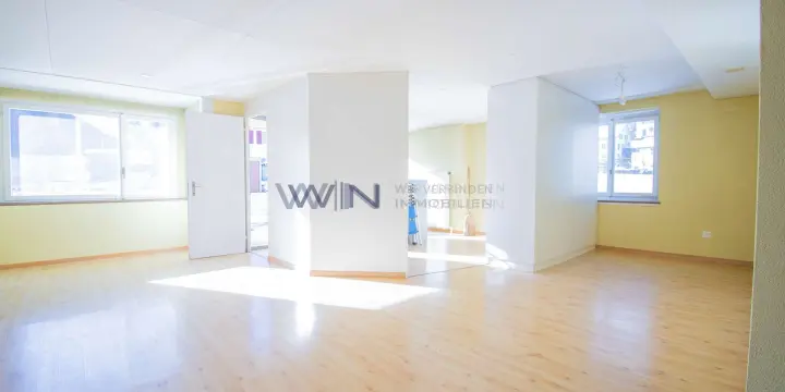 Rares und grosses Zweifamilienhaus - mit Gewerbe und Garagen