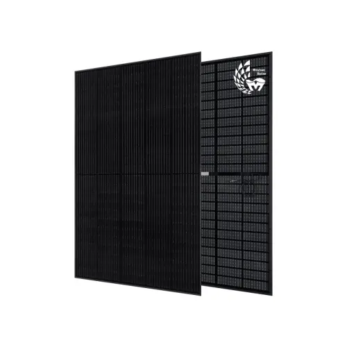 Panneau solaire bifacial noir TwiSun 410W de Maysun Solar à Bern