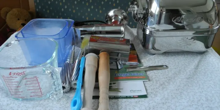 "Angel Juicer 7500 Slow Juicer Fruit Tiger"