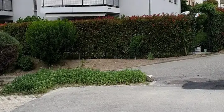 Valais central -grand 3,5 pièces, poutres apparentes, orienté au sud