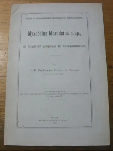 Myxobolus bicaudatus n.sp., ein Parasit der Coregoniden Viewalldstättersees. Separatabdruck aus…