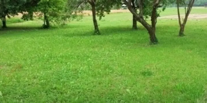 Camping chez l'habitant à la campagne