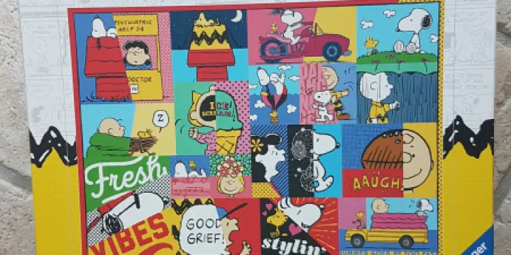 Puzzles RAVENSBURGER 1000 pièces
