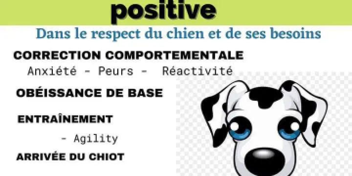 Educatrice canine et promeneuse