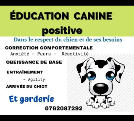 Educatrice canine et promeneuse